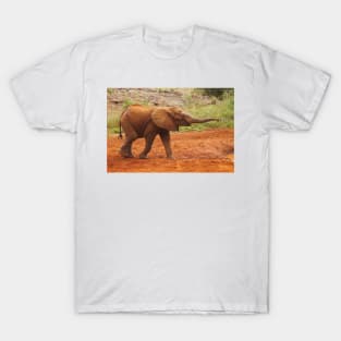 Baby Elephant After a Dust Bath T-Shirt